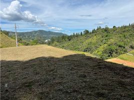 Terrain à vendre à Guarne, Antioquia, Guarne, Antioquia