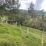 Terrain à vendre à La Ceja, Antioquia, La Ceja, Antioquia