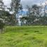 Terrain à vendre à La Ceja, Antioquia, La Ceja, Antioquia