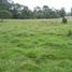  Land for sale in Armenia, Quindio, Armenia