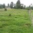  Land for sale in Armenia, Quindio, Armenia