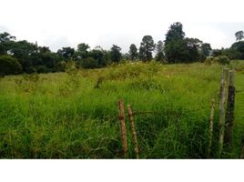  Land for sale in Armenia, Quindio, Armenia