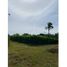  Land for sale in Tolima, Guamo, Tolima