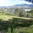 Terrain à vendre à El Carmen De Viboral, Antioquia, El Carmen De Viboral