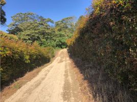  Land for sale in Marinilla, Antioquia, Marinilla