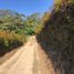  Terrain for sale in Marinilla, Antioquia, Marinilla