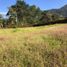  Land for sale in Marinilla, Antioquia, Marinilla