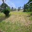  Land for sale in Bare Foot Park (Parque de los Pies Descalzos), Medellin, Medellin