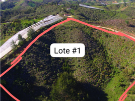  Land for sale in San Vicente, Antioquia, San Vicente