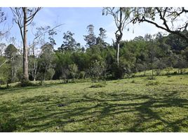  Terreno (Parcela) en venta en Sasaima, Cundinamarca, Sasaima