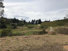  Land for sale in Rionegro, Antioquia, Rionegro