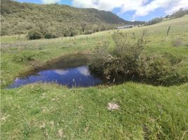 Estudio Villa en venta en Choconta, Cundinamarca, Choconta