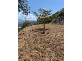  Land for sale in Puente Colgante De Occidente, Olaya, Santa Fe De Antioquia