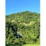  Land for sale in Fredonia, Antioquia, Fredonia