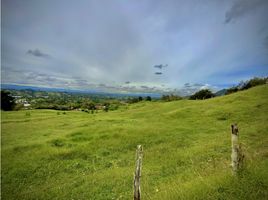Terrain à vendre à Rionegro, Antioquia, Rionegro