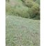  Land for sale in Santa Rosa De Cabal, Risaralda, Santa Rosa De Cabal