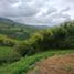  Land for sale in Santa Rosa De Cabal, Risaralda, Santa Rosa De Cabal