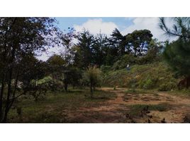  Land for sale in Rionegro, Antioquia, Rionegro