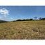  Land for sale in Valle Del Cauca, Palmira, Valle Del Cauca