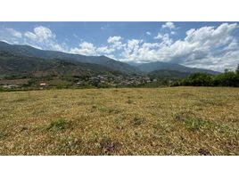  Terreno (Parcela) en venta en Valle Del Cauca, Palmira, Valle Del Cauca