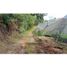  Land for sale in Marinilla, Antioquia, Marinilla