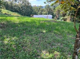  Terreno (Parcela) en venta en Manizales, Caldas, Manizales