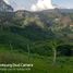  Land for sale in Penol, Antioquia, Penol