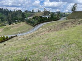  Land for sale in El Carmen De Viboral, Antioquia, El Carmen De Viboral