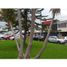 228 m² Office for sale in Valle Del Cauca, Cali, Valle Del Cauca