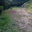  Land for sale in San Vicente, Antioquia, San Vicente