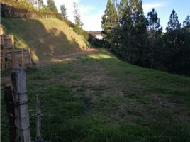  Land for sale in San Vicente, Antioquia, San Vicente