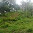  Land for sale in Sabaneta, Antioquia, Sabaneta