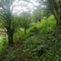  Land for sale in Sabaneta, Antioquia, Sabaneta