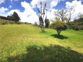  Land for sale in Envigado, Antioquia, Envigado