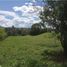  Land for sale in Marinilla, Antioquia, Marinilla