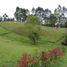  Land for sale in Marinilla, Antioquia, Marinilla