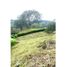  Land for sale in Neira, Caldas, Neira