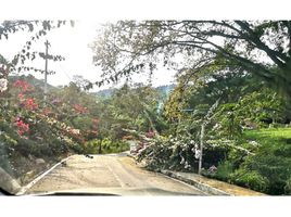  Terreno (Parcela) en venta en Neira, Caldas, Neira