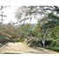  Land for sale in Neira, Caldas, Neira