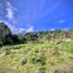 Terrain à vendre à Rionegro, Antioquia, Rionegro, Antioquia
