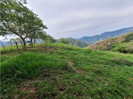  Terreno (Parcela) en venta en Bolivar, Antioquia, Bolivar