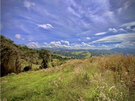 Terrain à vendre à Retiro, Antioquia, Retiro