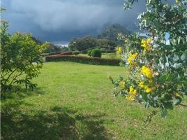  Land for sale in El Carmen De Viboral, Antioquia, El Carmen De Viboral