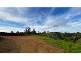  Land for sale in El Carmen De Viboral, Antioquia, El Carmen De Viboral