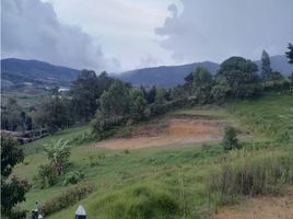  Land for sale in El Carmen De Viboral, Antioquia, El Carmen De Viboral