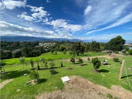  Land for sale in Salento, Quindio, Salento