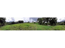  Land for sale in Sabaneta, Antioquia, Sabaneta