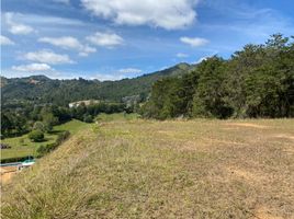  Terreno (Parcela) en venta en La Ceja, Antioquia, La Ceja