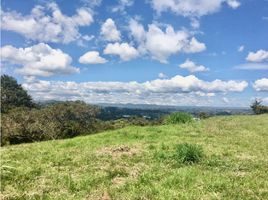  Terreno (Parcela) en venta en Rionegro, Antioquia, Rionegro, Antioquia, Colombia