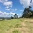 Terreno (Parcela) en venta en Rionegro, Antioquia, Rionegro, Antioquia, Colombia